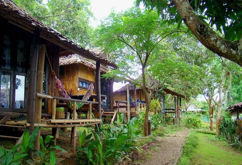 膳宿费 Rewild House