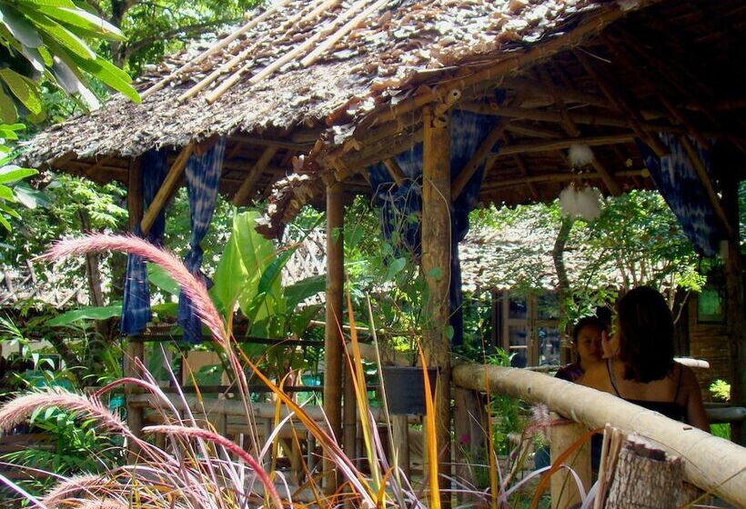 膳宿费 Rewild House