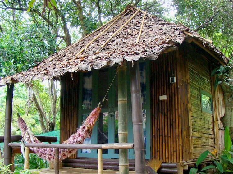 膳宿费 Rewild House