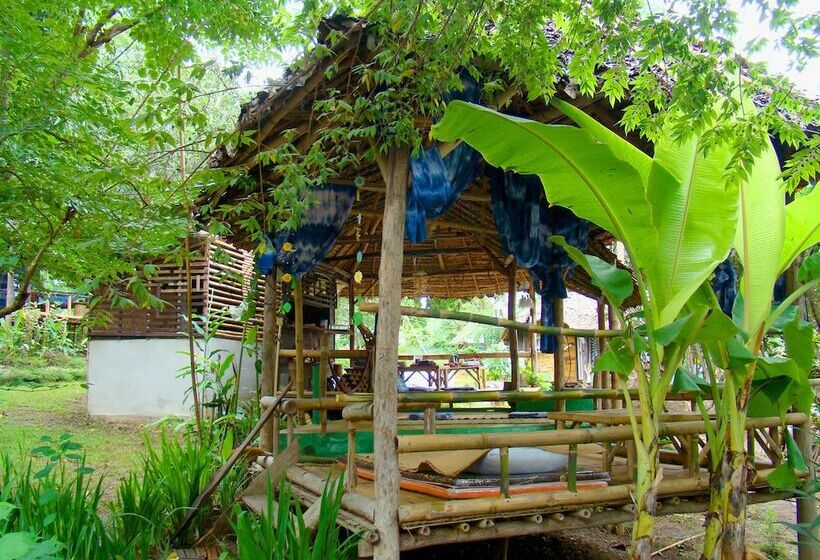 膳宿费 Rewild House