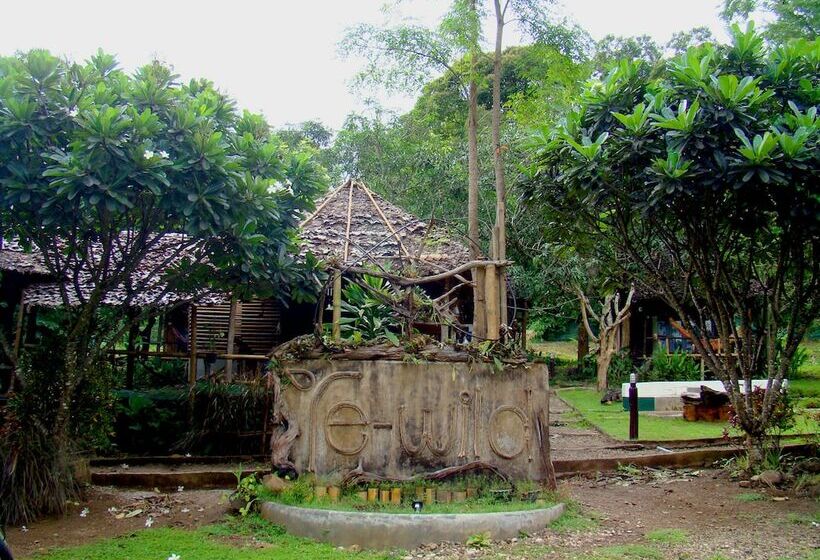 膳宿费 Rewild House