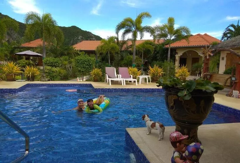 Stella Resort