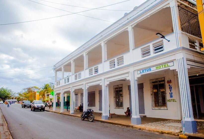 تختخواب و صبحانه Lotus Hotel Diego