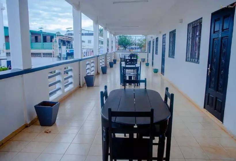 تختخواب و صبحانه Lotus Hotel Diego