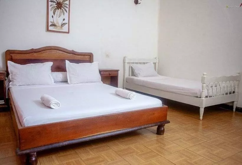 تختخواب و صبحانه Lotus Hotel Diego