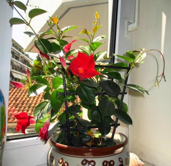 Herberge Nomads Meteora