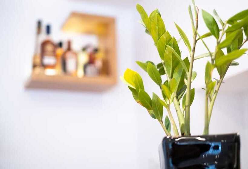 Отель City Loft