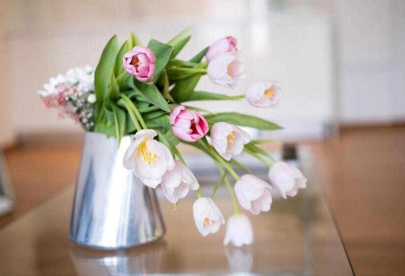 Отель City Loft