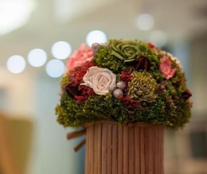 בית מלון כפרי Iskra