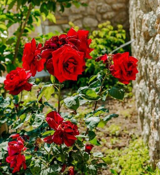 Отель Natura Luxury Suites Parga