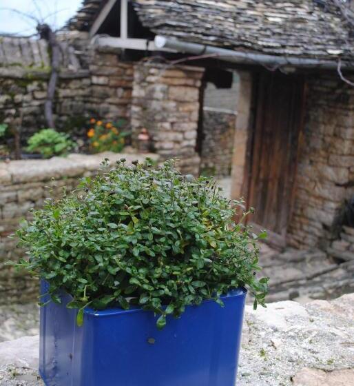 ホテル Orestis House