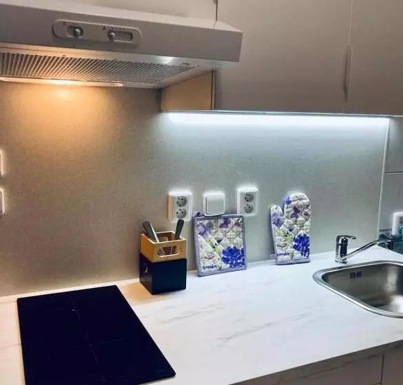 ホテル Apartmány, Penzion, Wellness U Zlaté Rybky