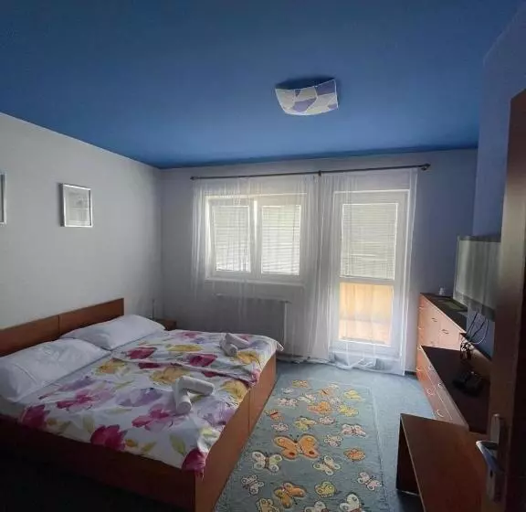 ホテル Apartmány, Penzion, Wellness U Zlaté Rybky