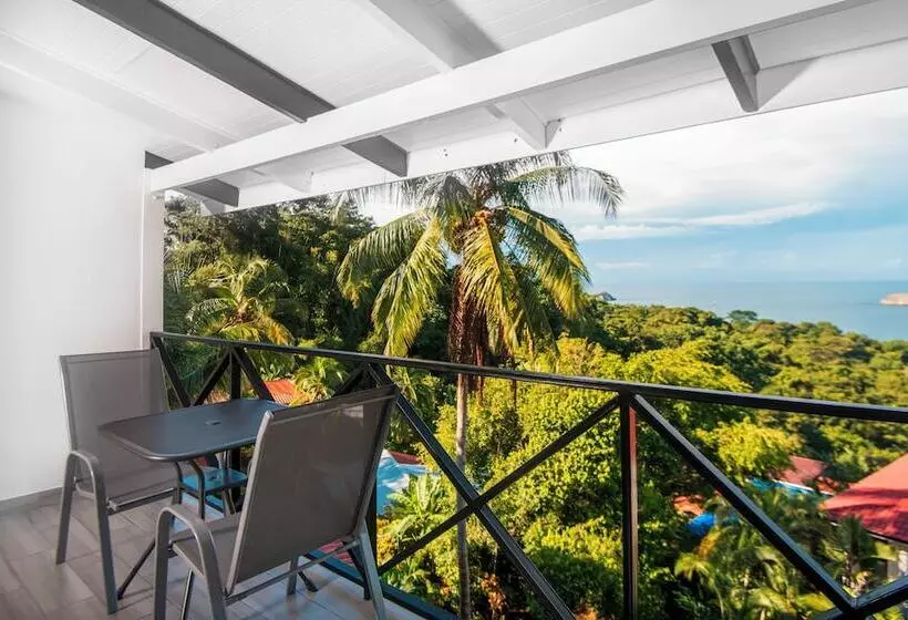 ホテル Villa Roca Boutique Resort & Suites Adult Only