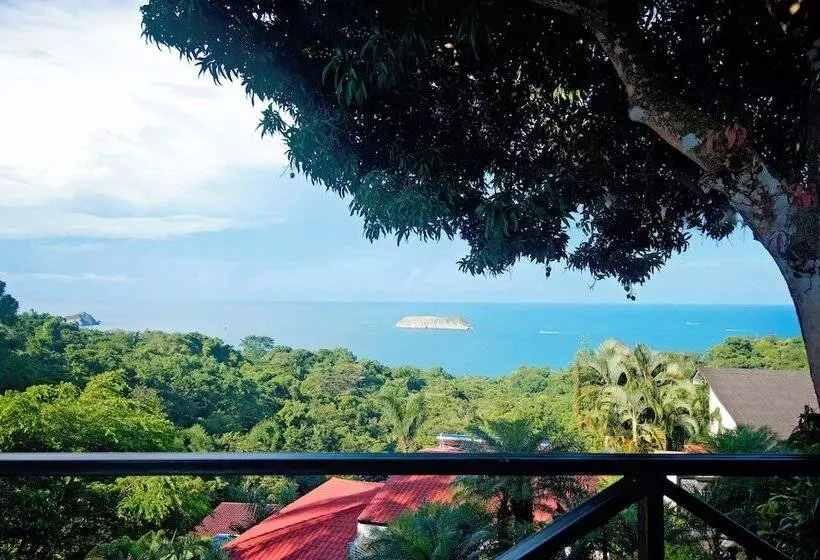 ホテル Villa Roca Boutique Resort & Suites Adult Only