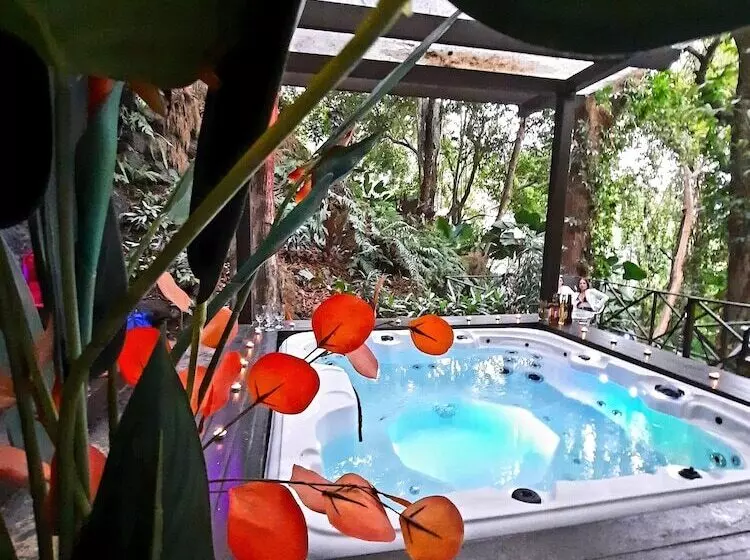 ホテル Villa Roca Boutique Resort & Suites Adult Only