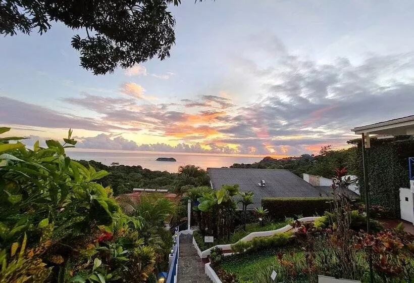 ホテル Villa Roca Boutique Resort & Suites Adult Only