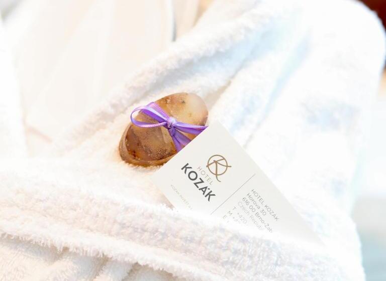 בית מלון כפרי Kozák