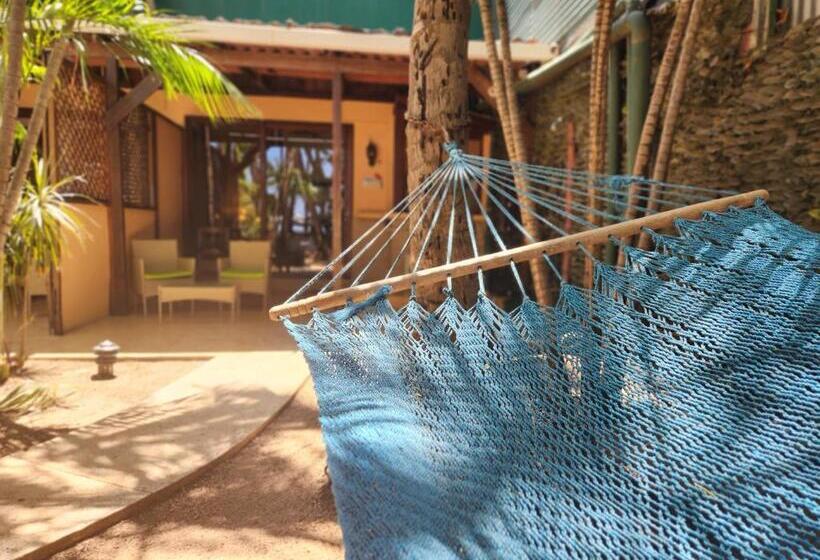 בית מלון כפרי La Palapa