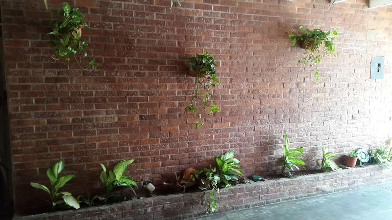 בית מלון כפרי La Palapa