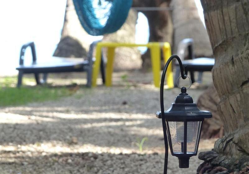 בית מלון כפרי La Palapa