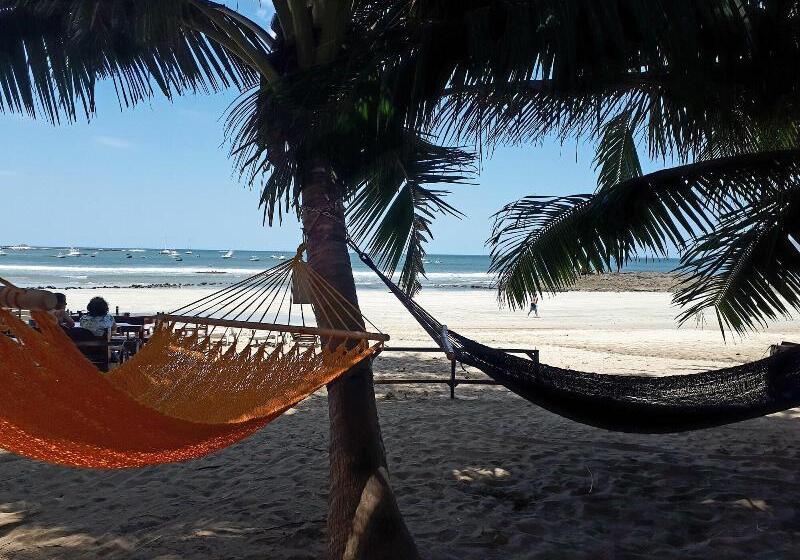 בית מלון כפרי La Palapa