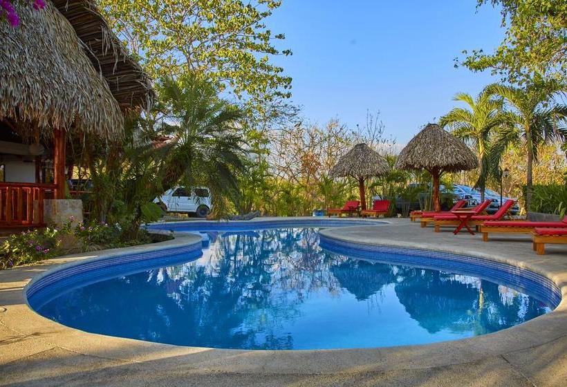 酒店 Colina Del Mar