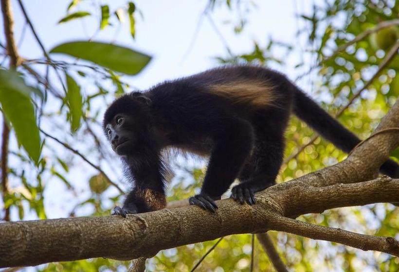 酒店 Colina Del Mar