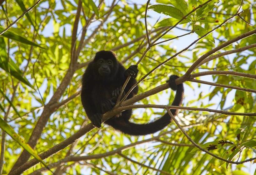 酒店 Colina Del Mar