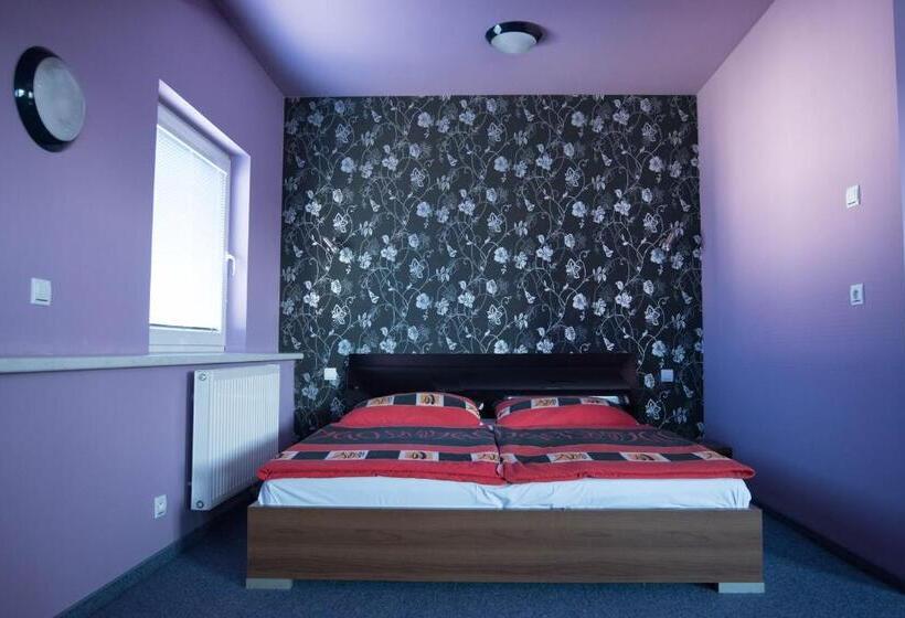 酒店 Manhattan Penzion