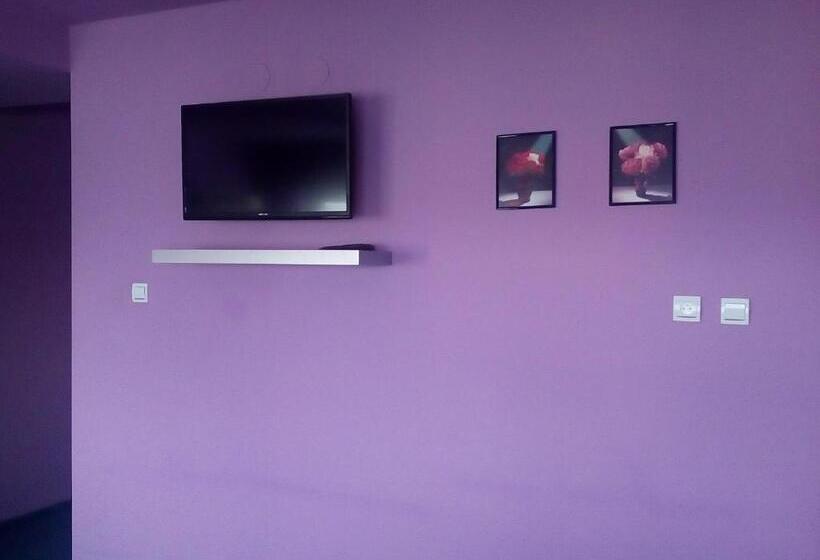 酒店 Manhattan Penzion