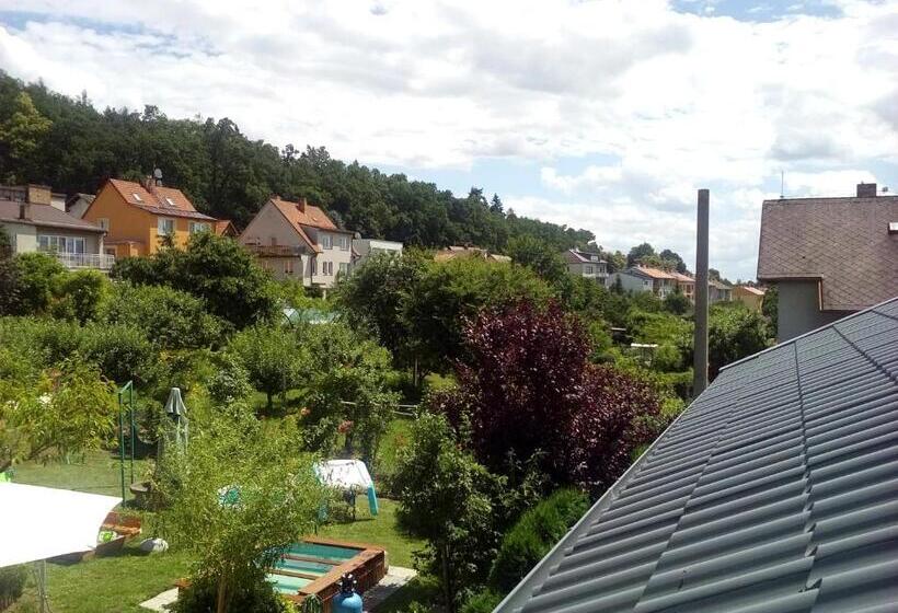 酒店 Manhattan Penzion