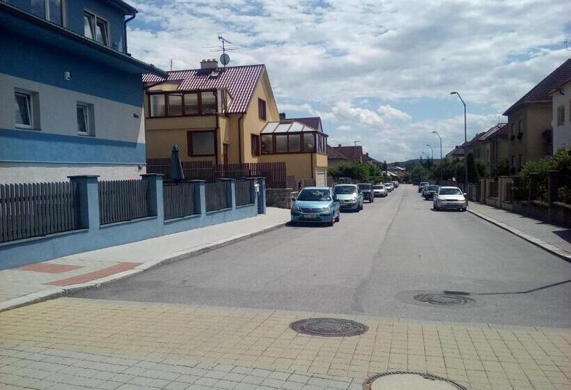 酒店 Manhattan Penzion