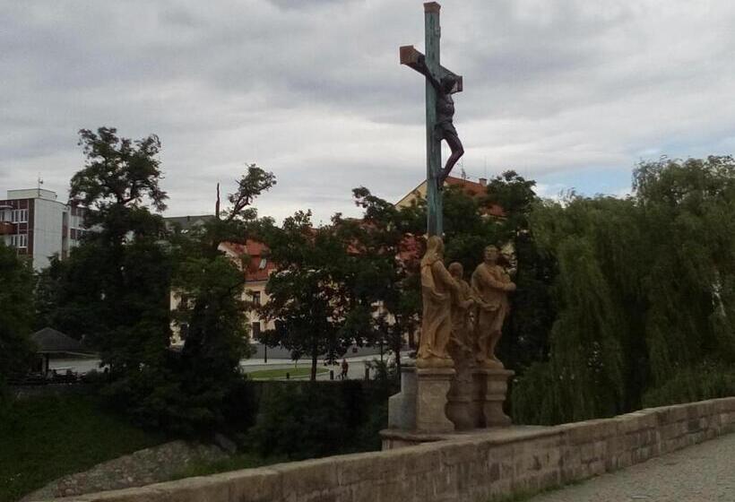 酒店 Manhattan Penzion