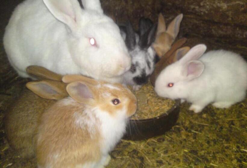 فندق Privat Apartma Ulrych