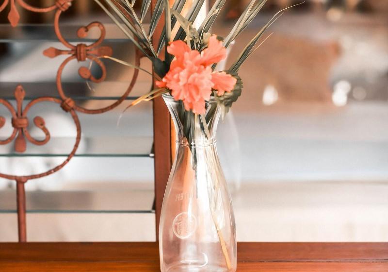 בית מלון כפרי Ritmo Tropical