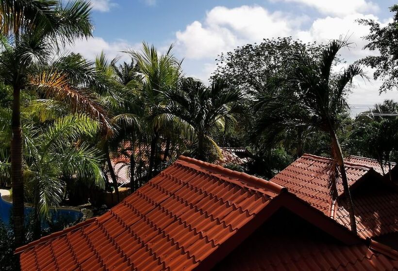 בית מלון כפרי Ritmo Tropical