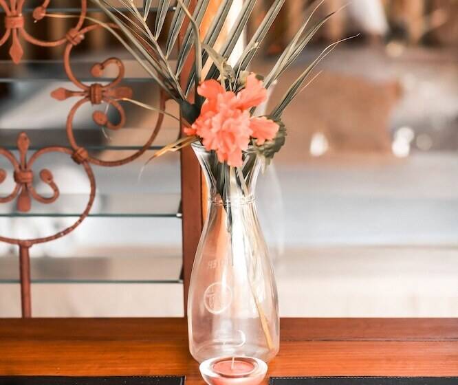 בית מלון כפרי Ritmo Tropical