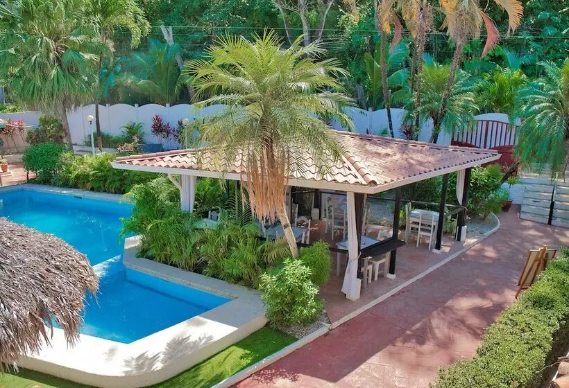 ホテル Samara Pacific Lodge