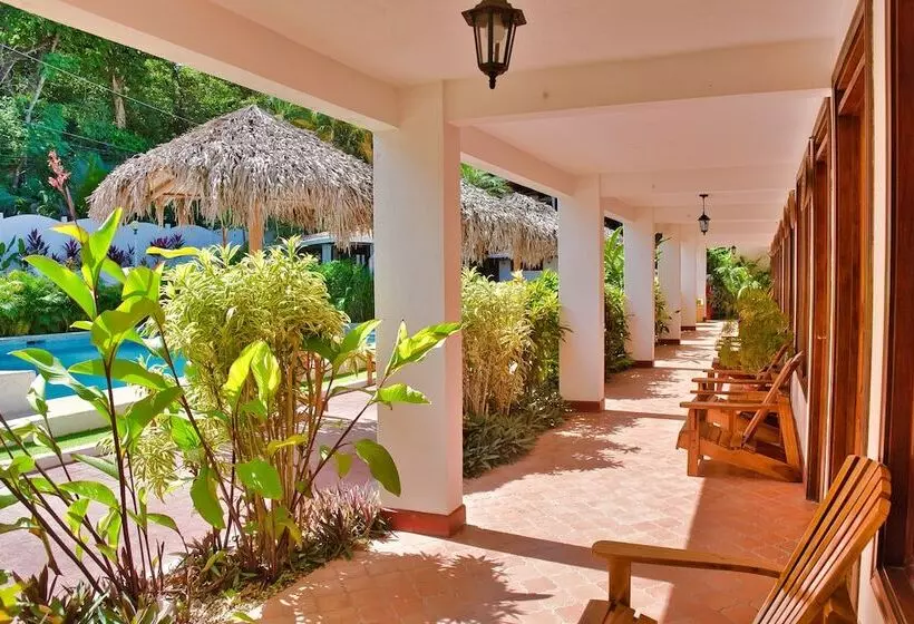 ホテル Samara Pacific Lodge