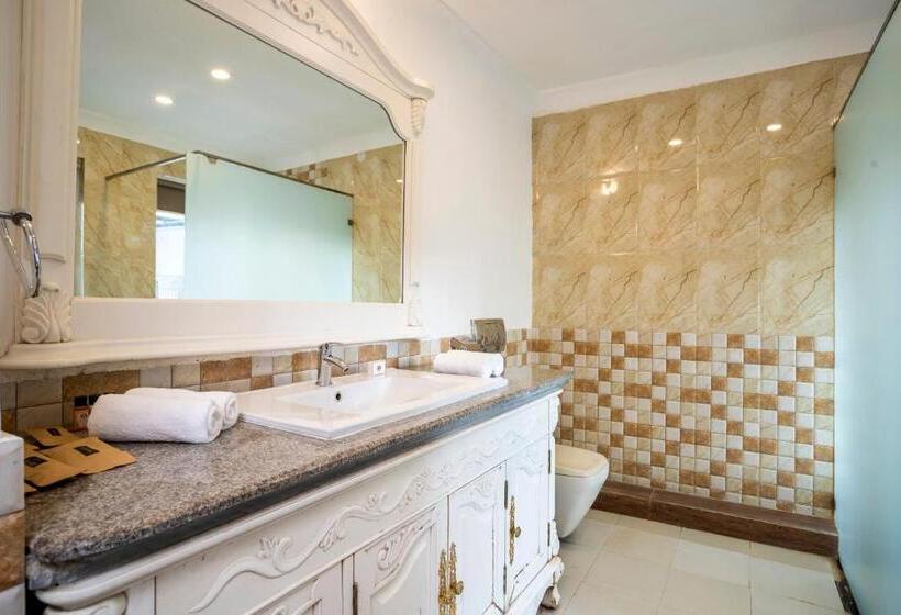 Hotel Stone Wood Riverfront Resort, Siolim