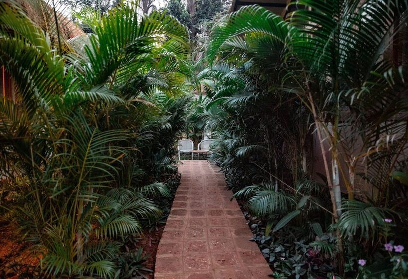 Anahata Retreat Sea Front Resort