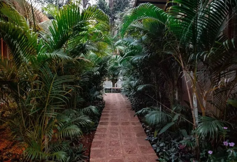 Anahata Retreat Beach Front Resort