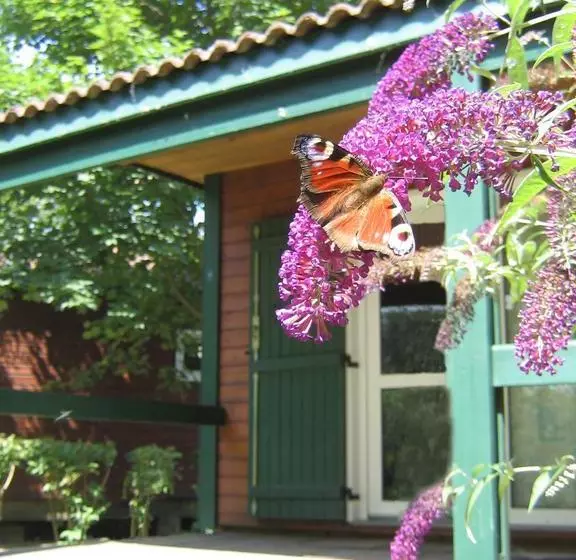 ホテル Camping Les Portes Du Beaujolais