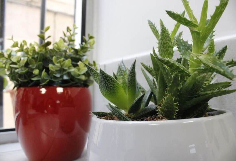 هتل Hôtel Des Arts Aix