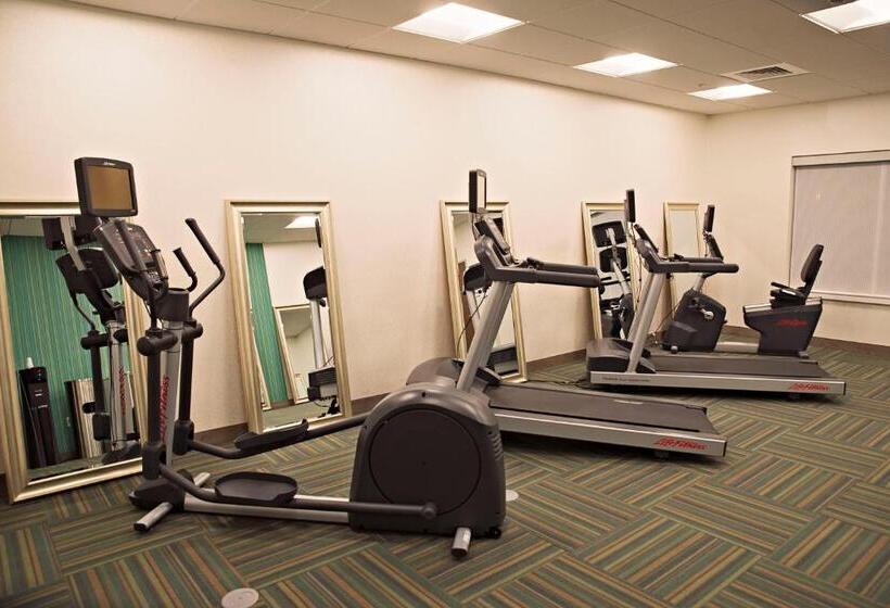 فندق Holiday Inn Express & Suites   Rantoul, An Ihg