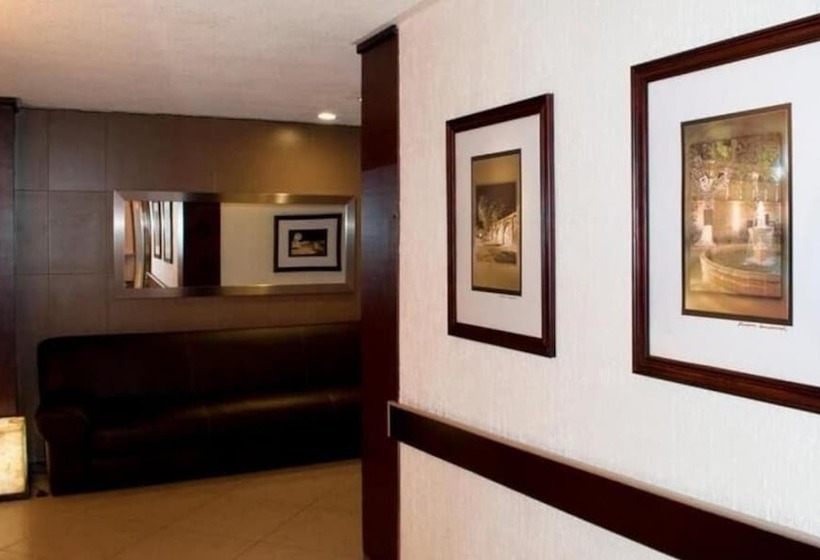 호텔 Marcella Clase Ejecutiva