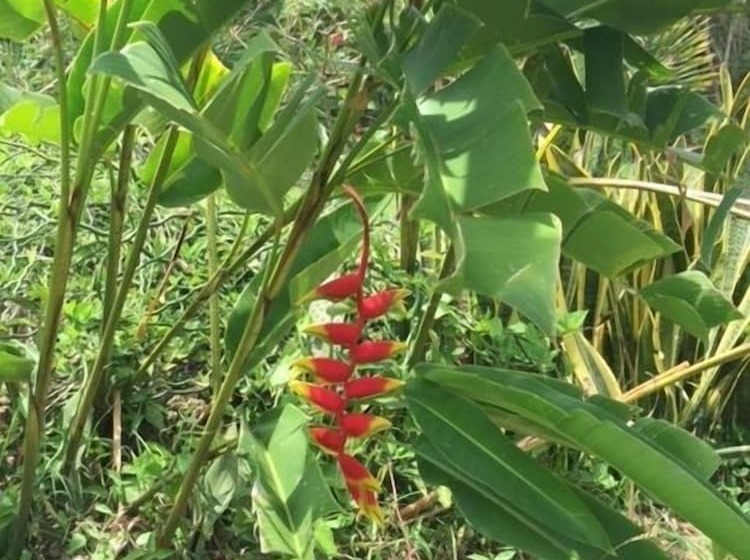 هتل Résidence Bel Bay