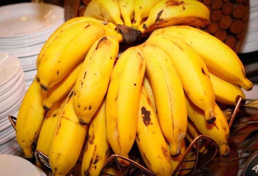 Отель Santo Graal