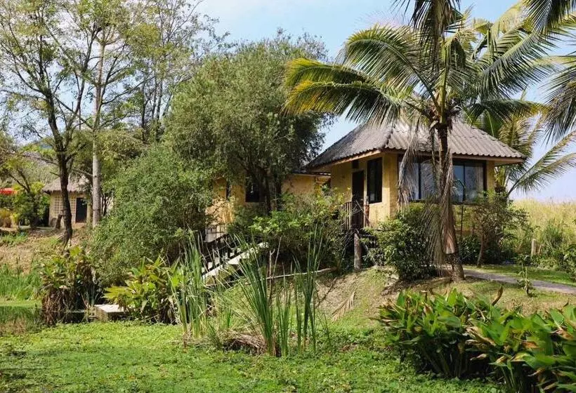 استراحتگاه Villa Khao Phaengma